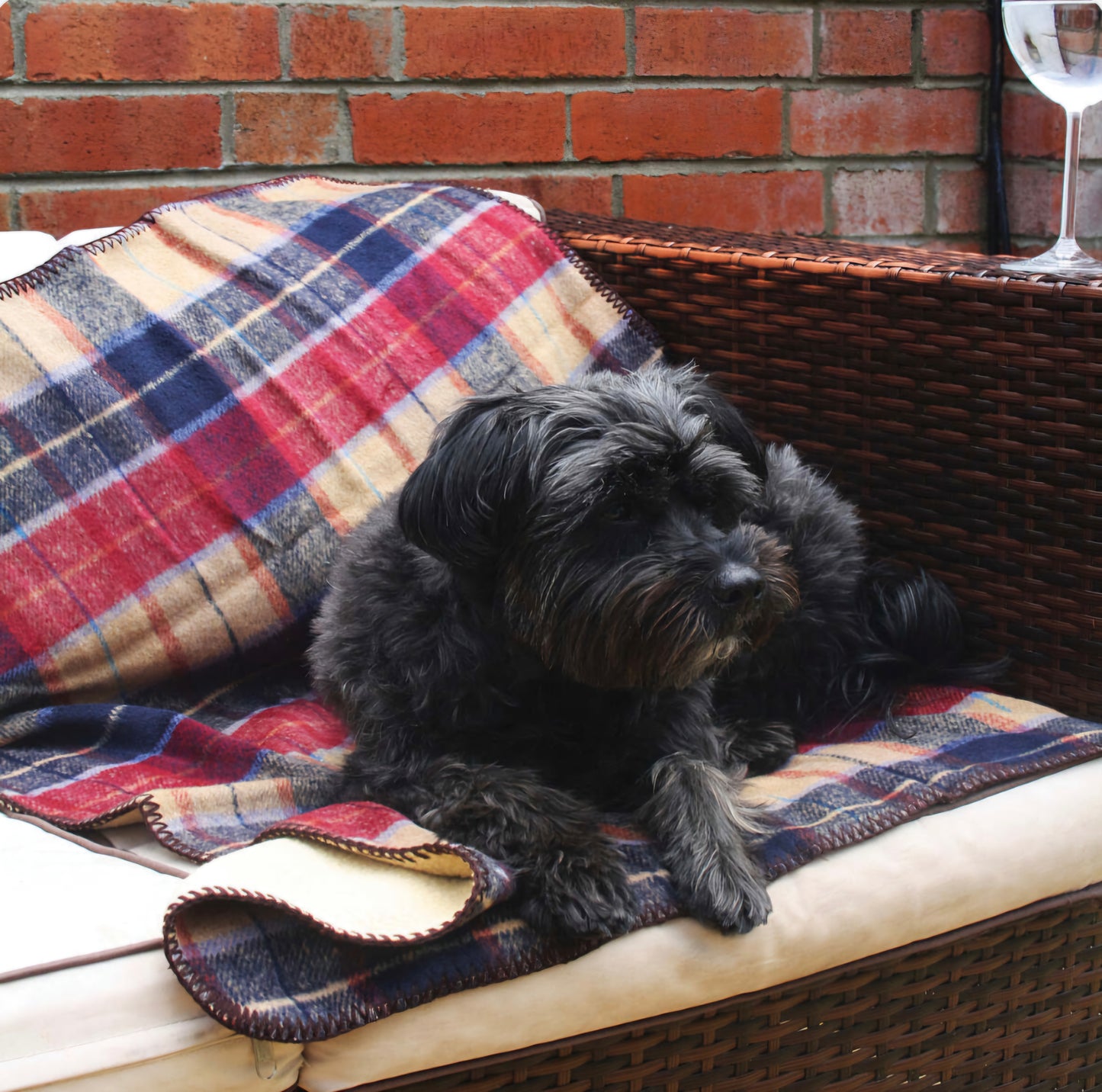 Celtic Weavers Red Check Fleece Lined Tweed Blanket