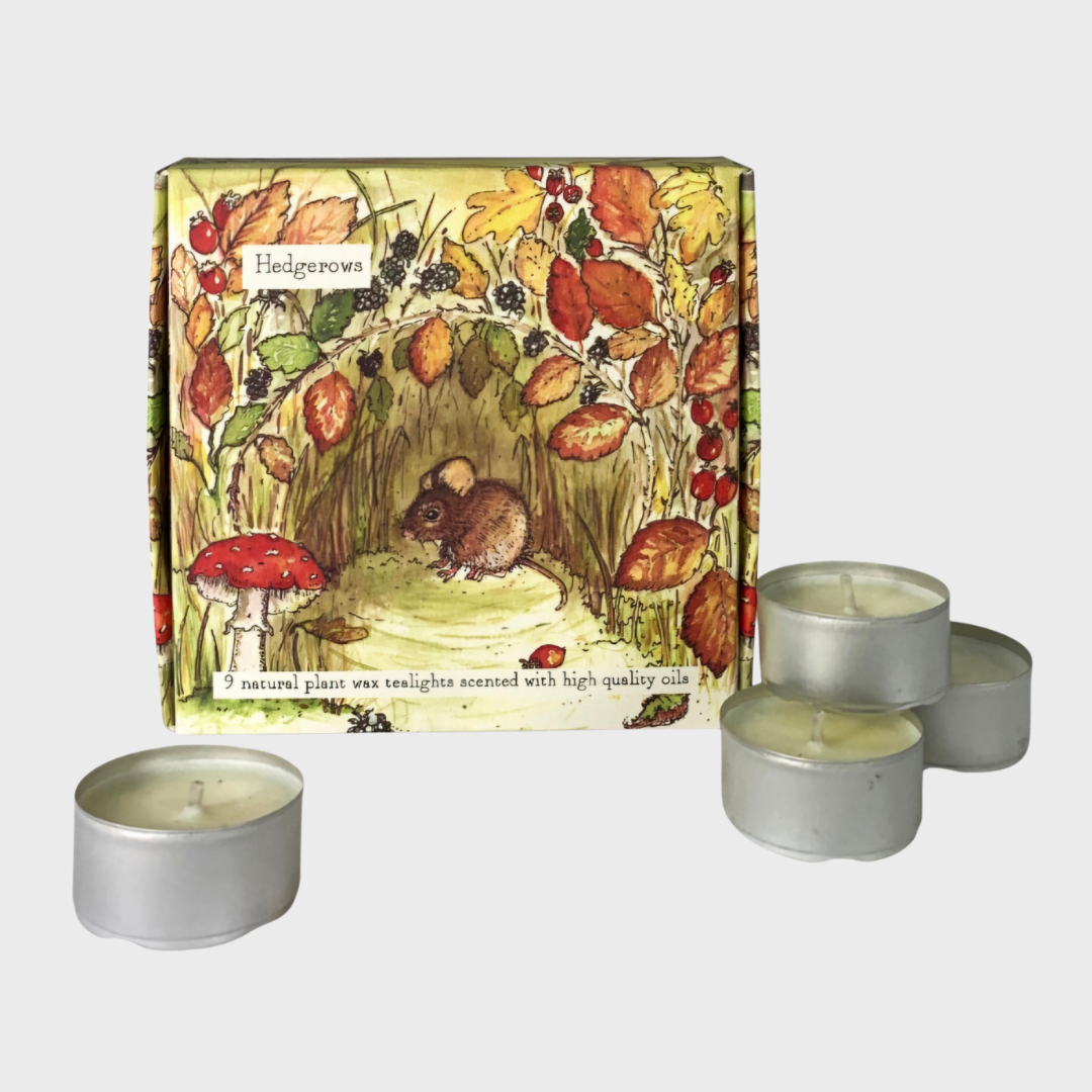 Heaven Scent Hedgerows Tealight Box
