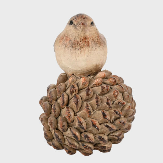 Bird on a Pine Cone