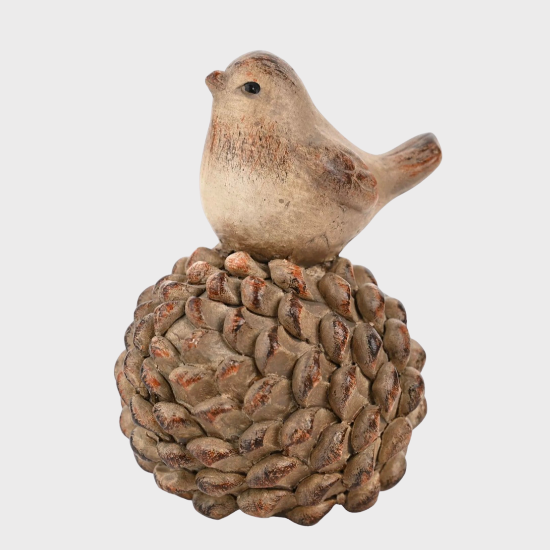 Bird on a Pine Cone