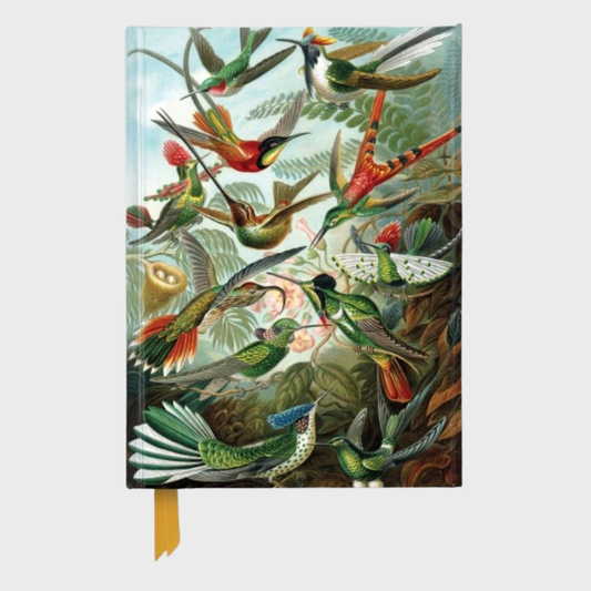 Ernst Haeckel "Example from the Family Trochilidae" Blank Journal