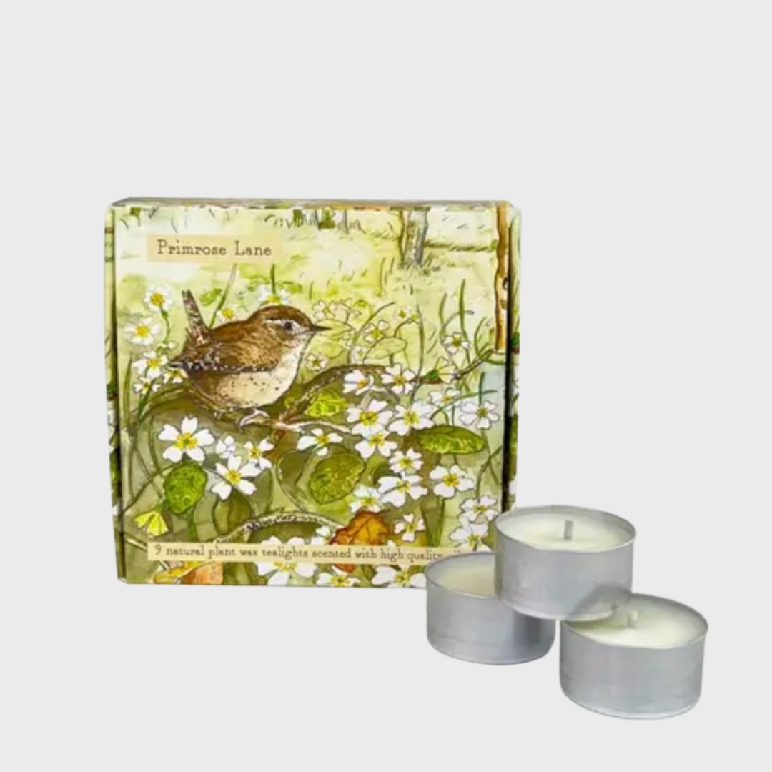 Primrose Lane Scented Tealight Box