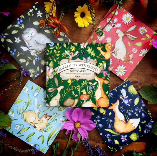 Burren Flower Fairy Notecards