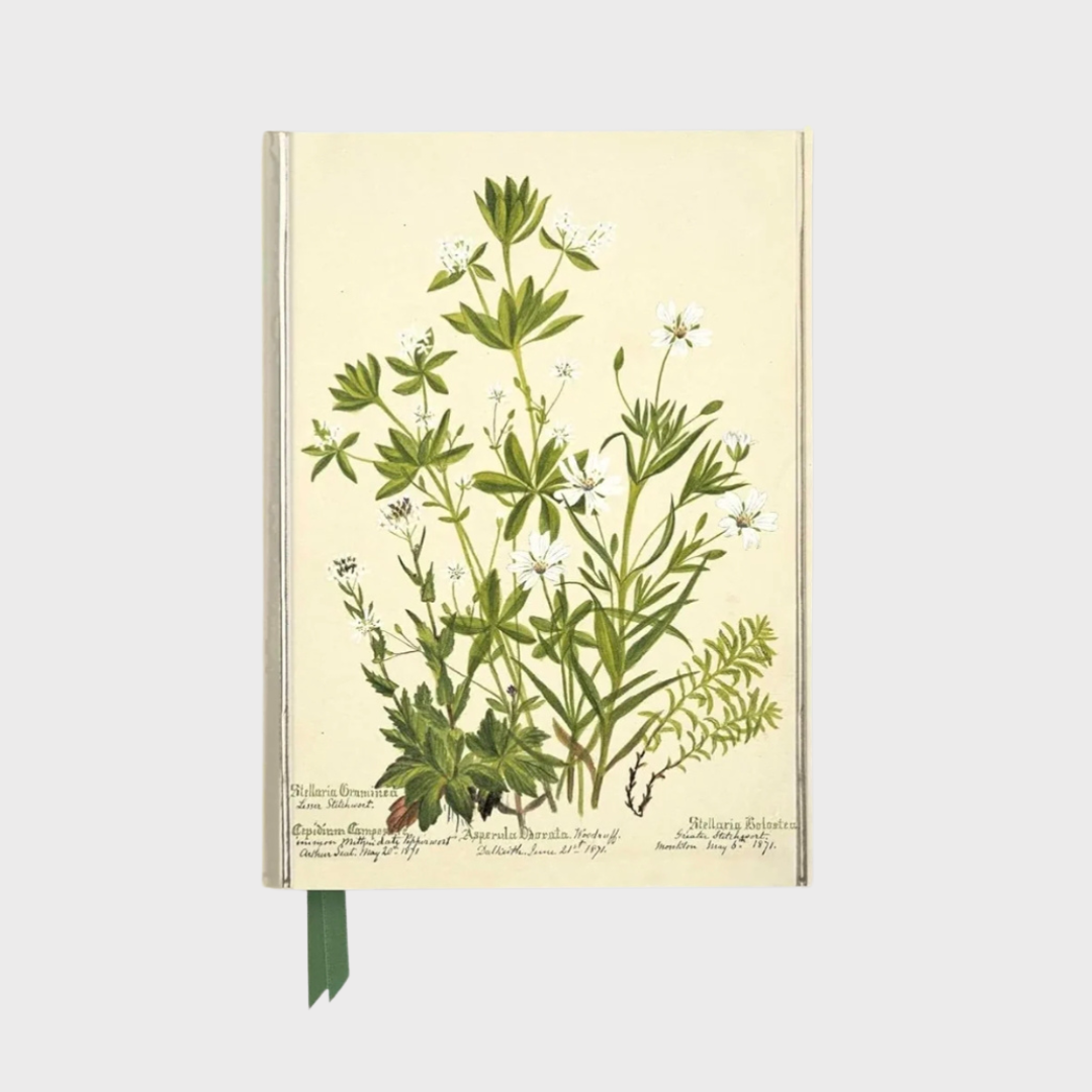 Stellaria Journal