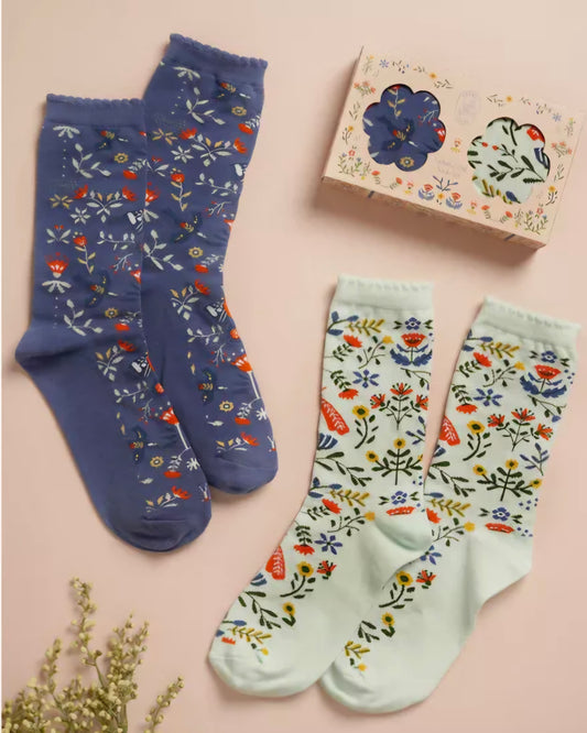 Sophia Lane Ladies Sock Set