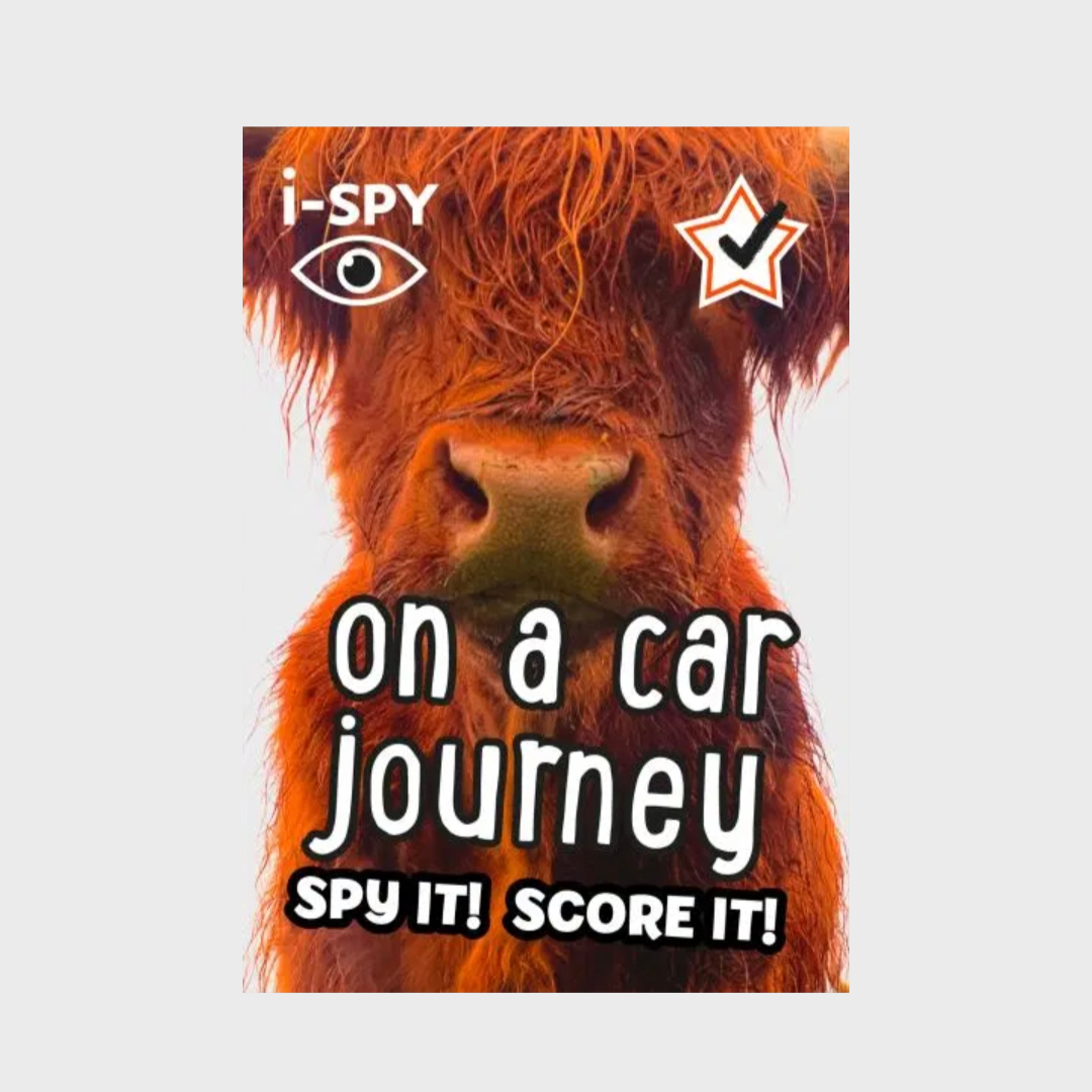 I-Spy On a car Journey
