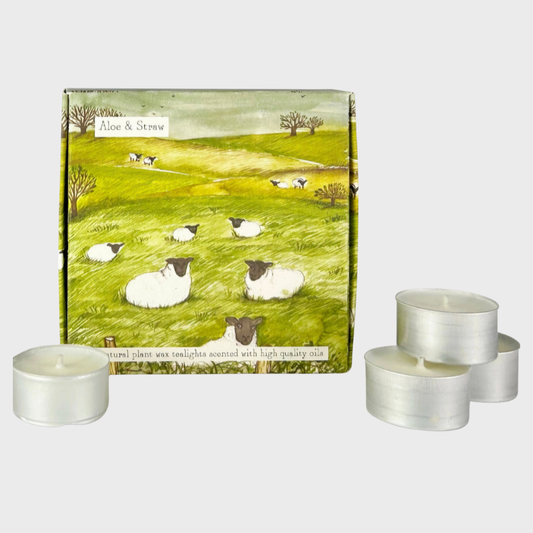 Heaven Scent Aloe & Straw Tealight Box