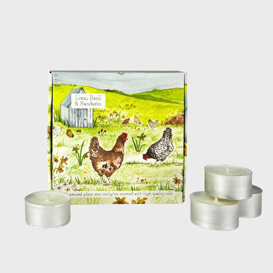 Heaven Scent Lime Basil Mandarin Tealight Box