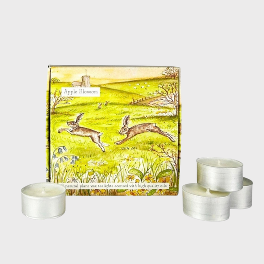 Heaven Scent Apple Blossom Tealight Box