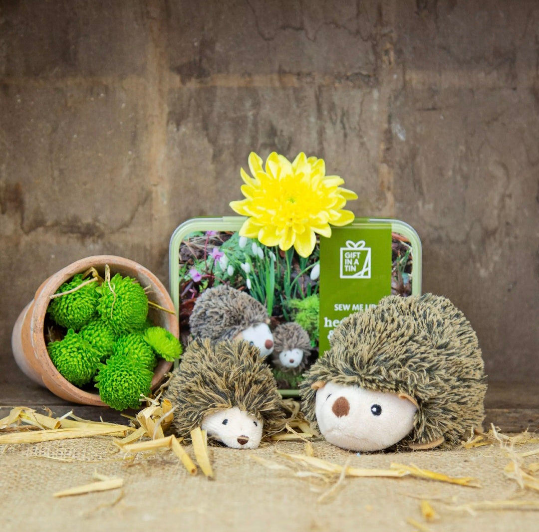 Hedgehog & Hoglet Sew Me up