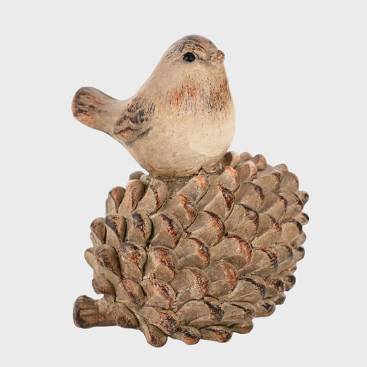 Bird on a Pine Cone