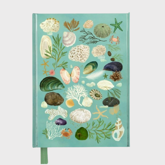 Katherine Quinn 'Beachcombing' Journal