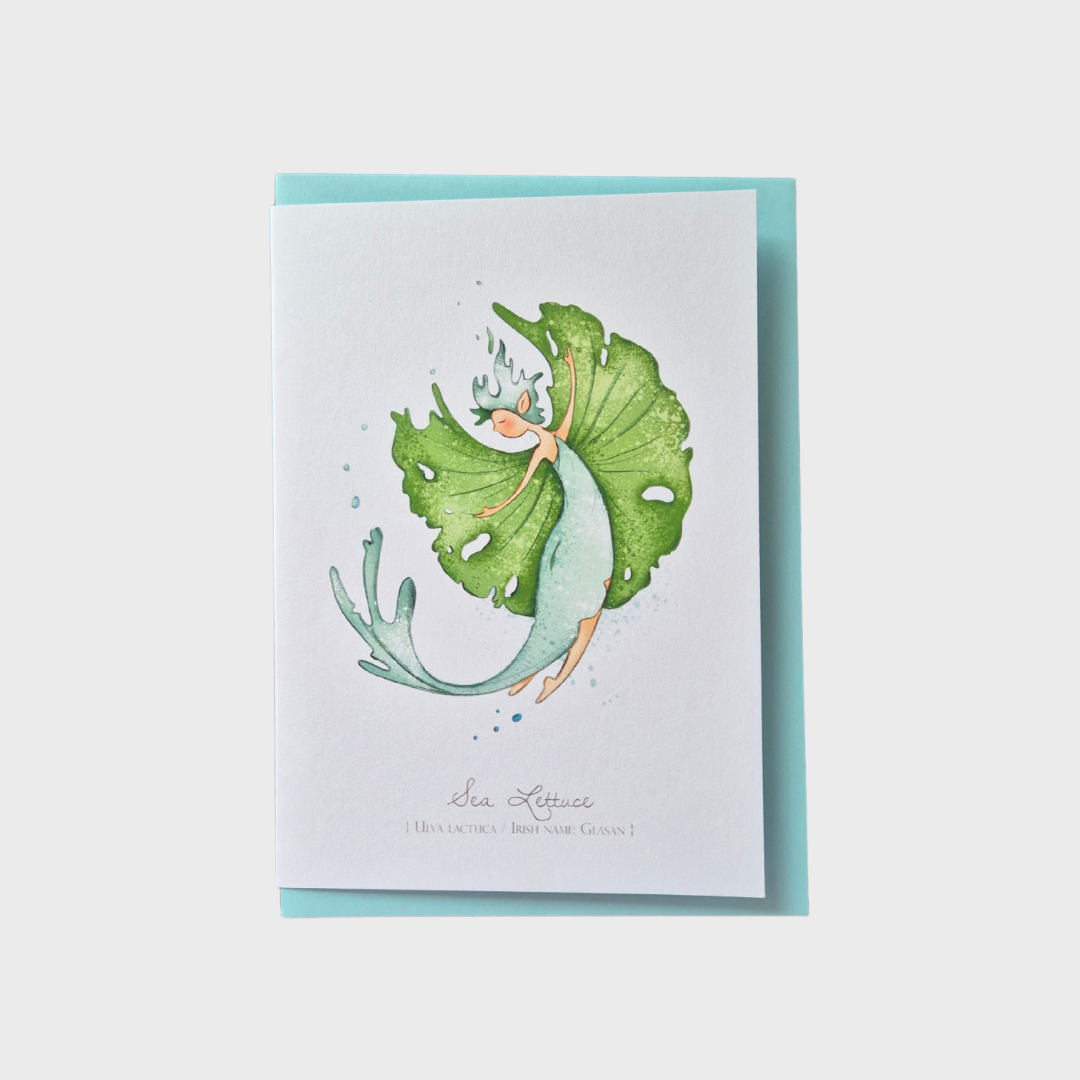 Sea Lettuce Flower Fairy Greeting Card