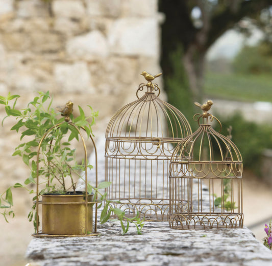 Mathilde M Gold Birdcage Pot Small