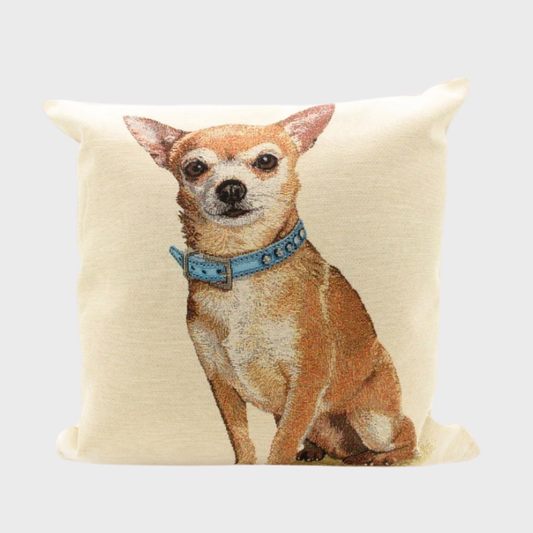 Chihuahua with Blue Collar Cushion Cover