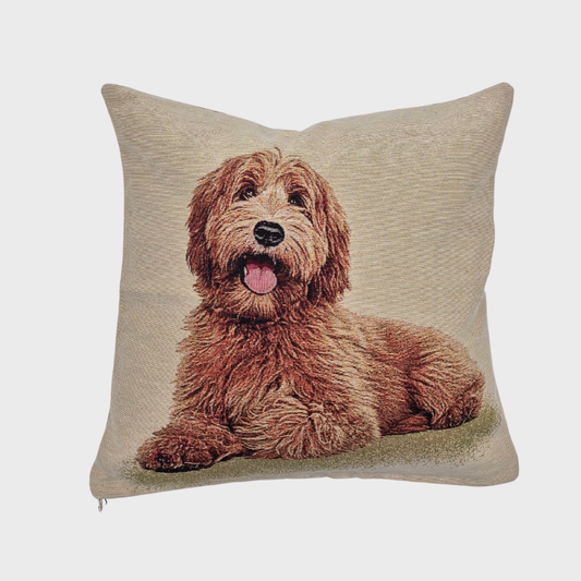 Lenny the Labradoodle Cushion Cover