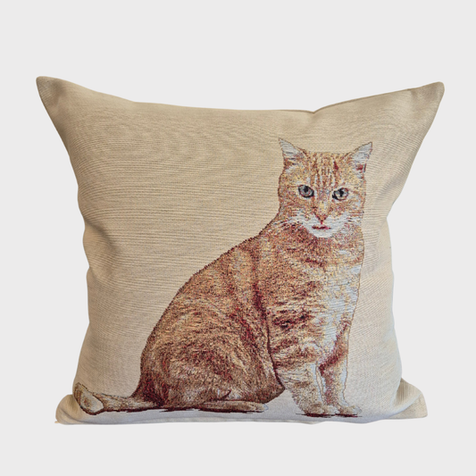 Marmalade Cat Cushion Cover