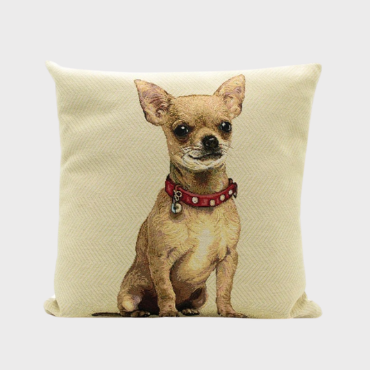 Chihuahua with red collar Cushion Cover