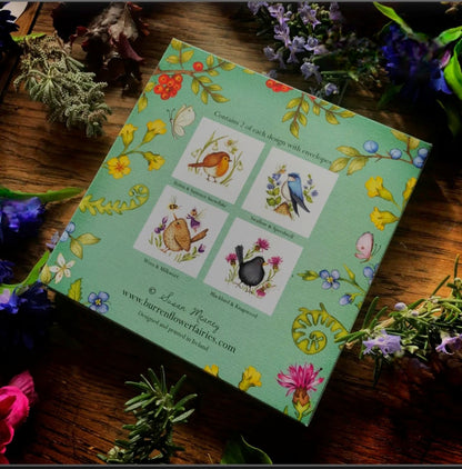 Burren Flower Fairies Notecards