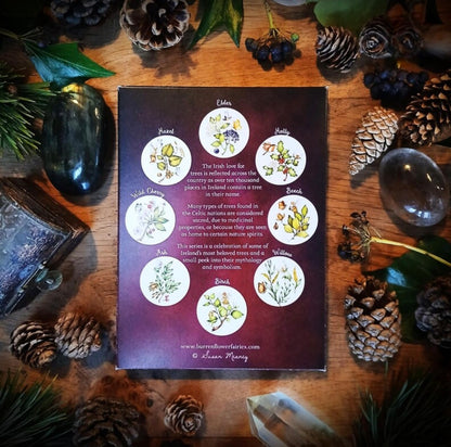 Sacred Trees of Ireland Flower Fairy Notecards