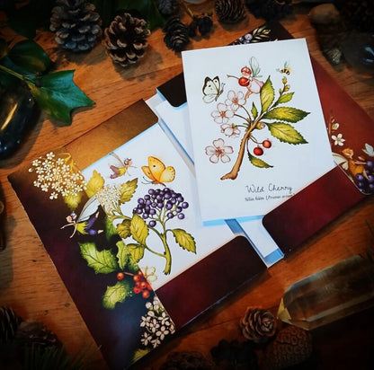 Sacred Trees of Ireland Flower Fairy Notecards