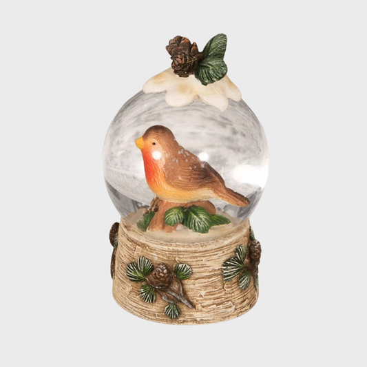 Robin & Mistletoe Snowglobe
