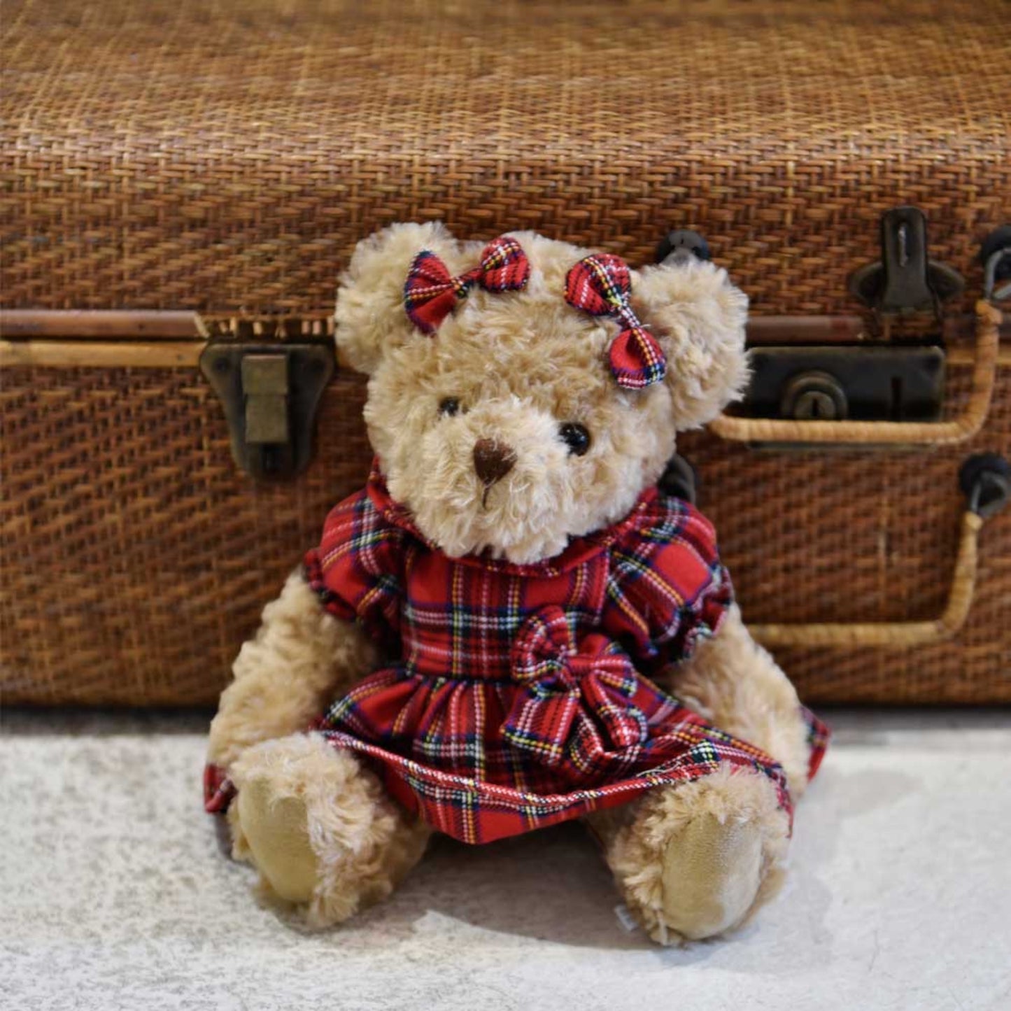Teddy In A Tartan Dress