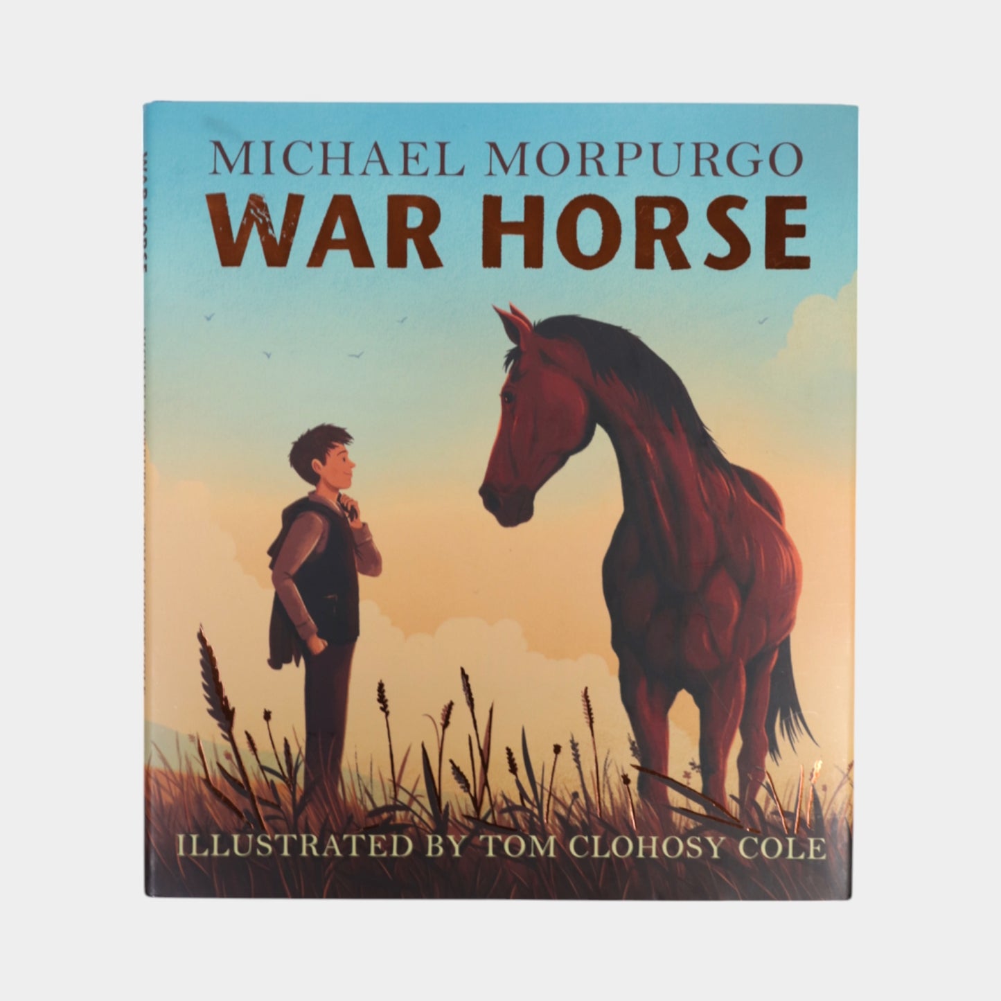 War Horse Picture Book