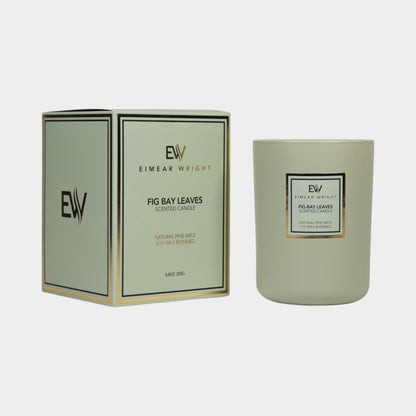 Fig Bay Leaves Scented Candle