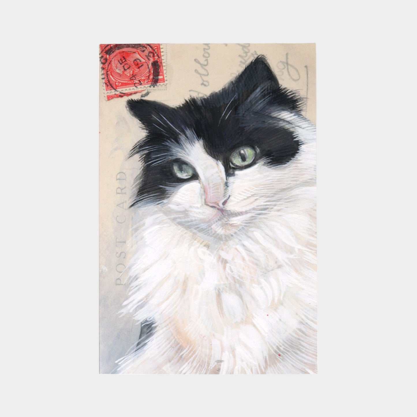 Cat & Dog Vintage Greeting Cards