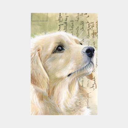 Cat & Dog Vintage Greeting Cards