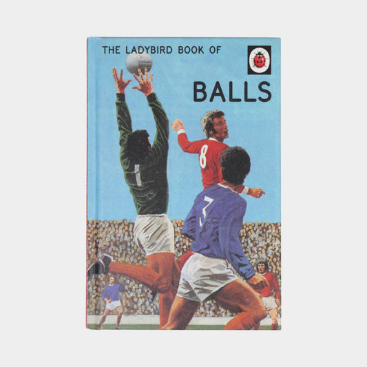 The Ladybird Book of Balls