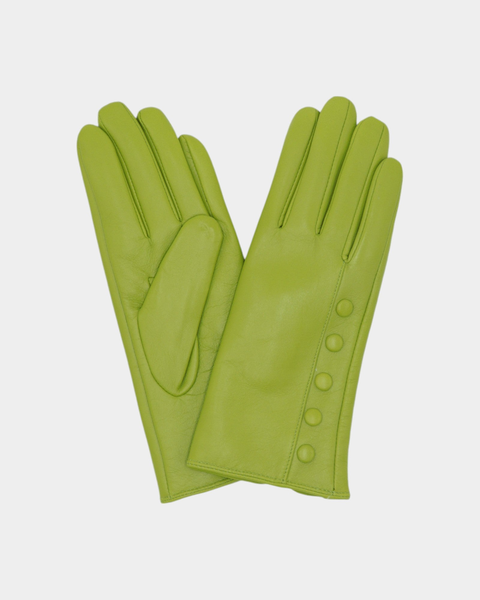 Ladies leather gloves on neutral background