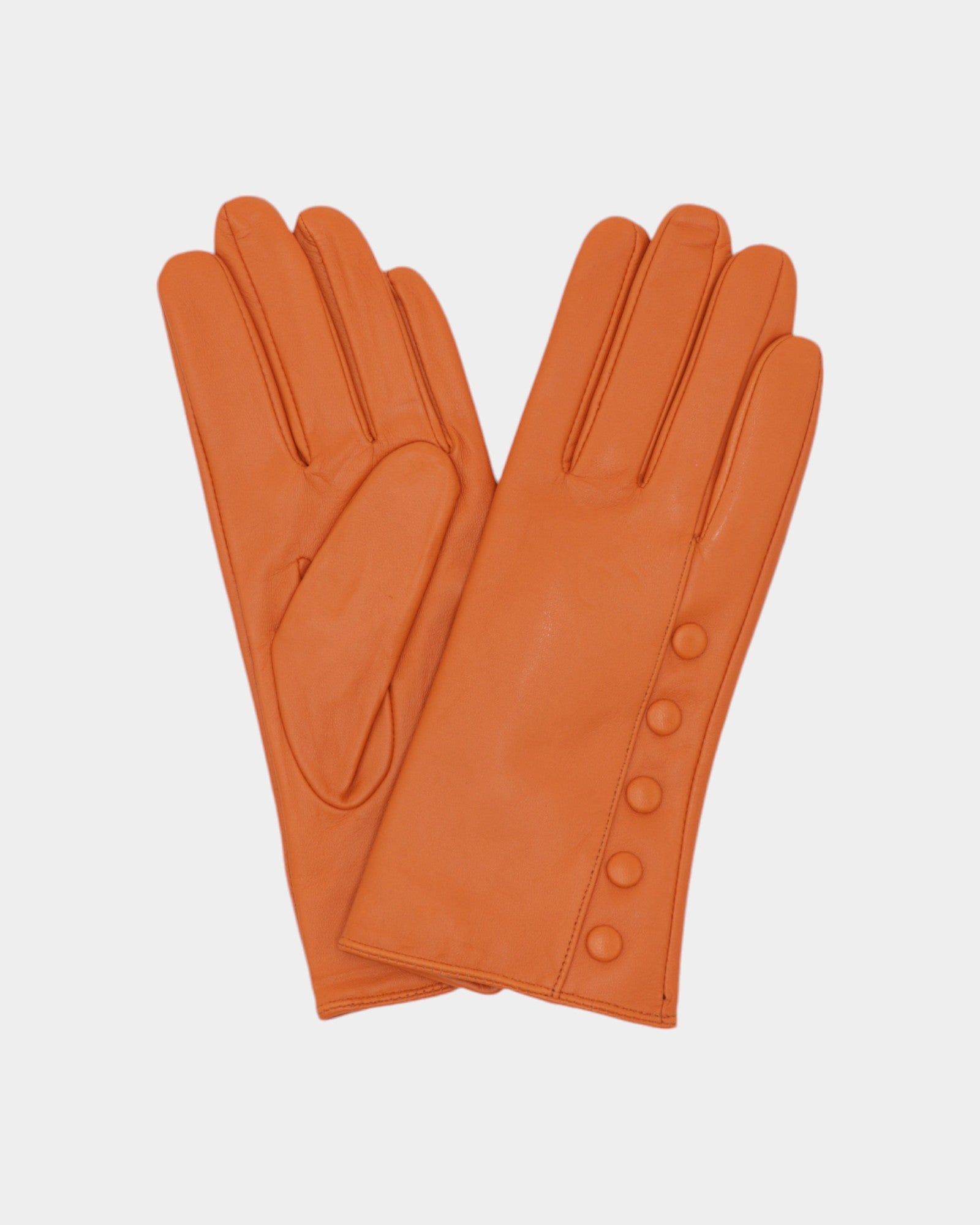 Ladies leather gloves on neutral background