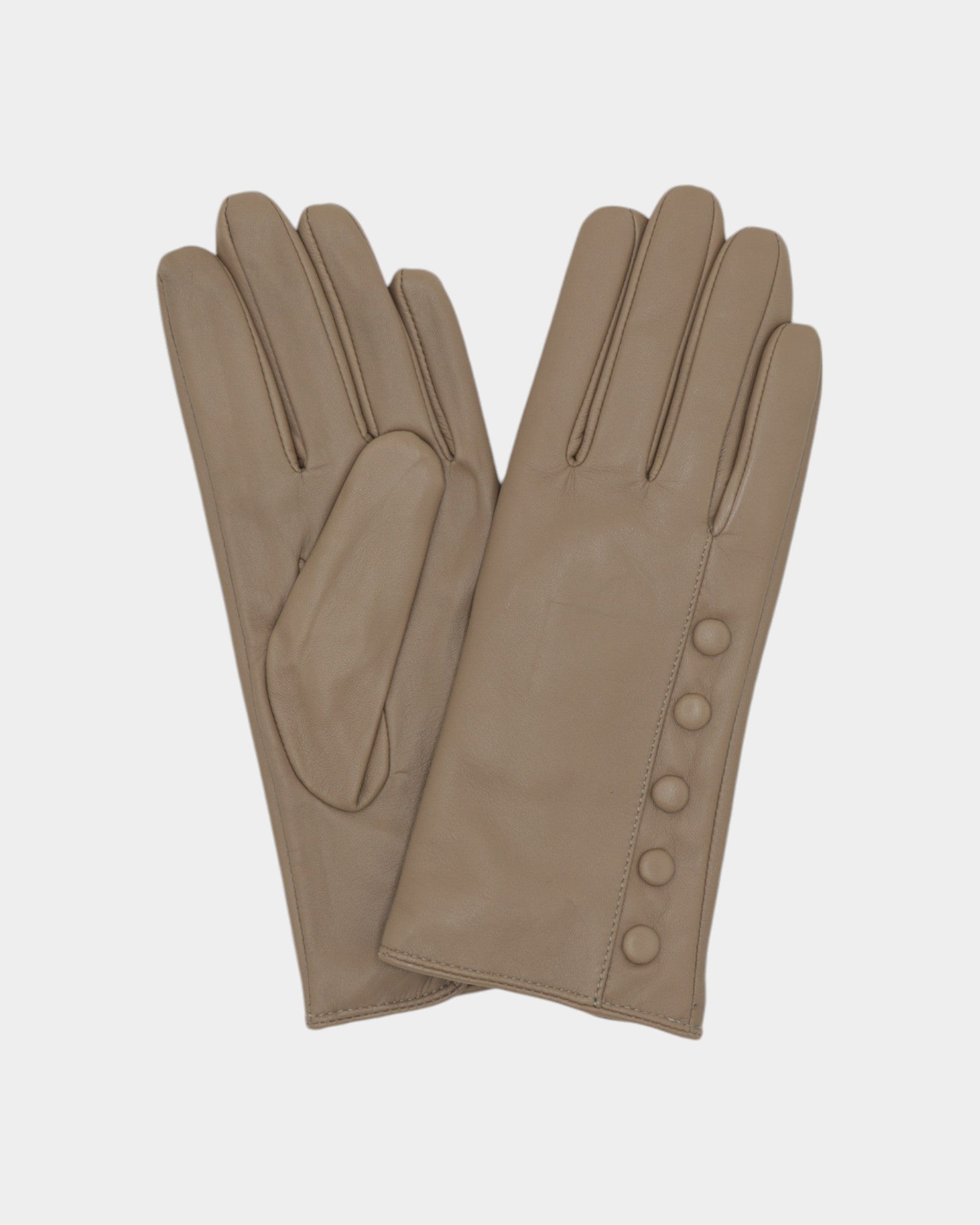 Ladies leather gloves on neutral background