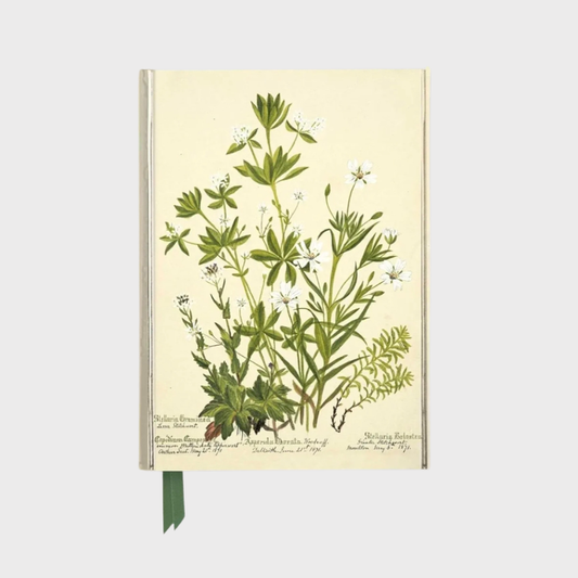 Stellaria Journal