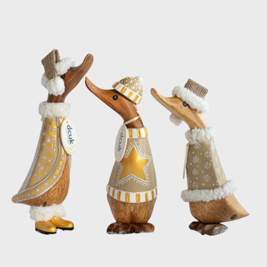 Dcuk Christmas Ducklings