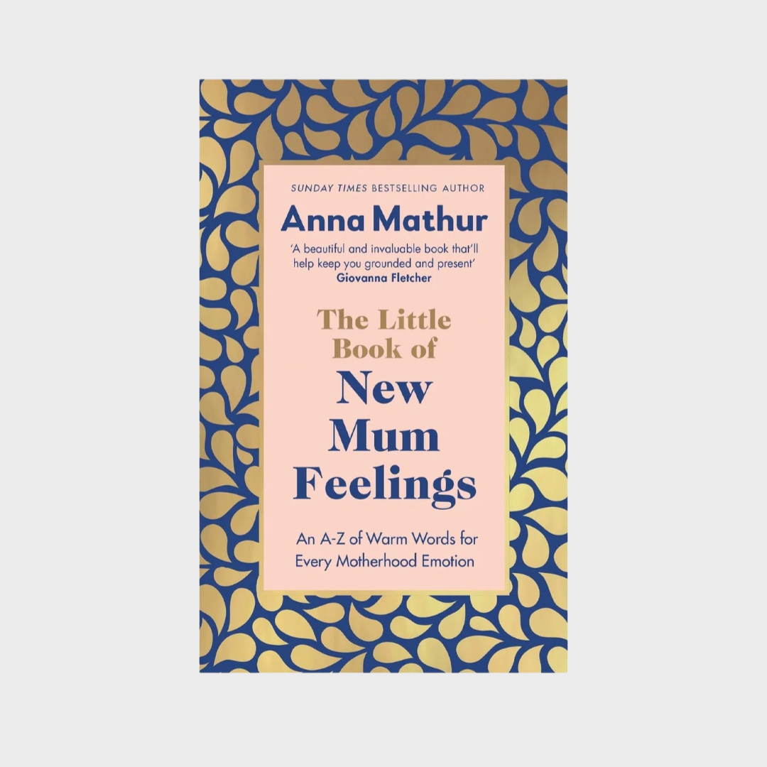 The Little Book of New Mum Feelings