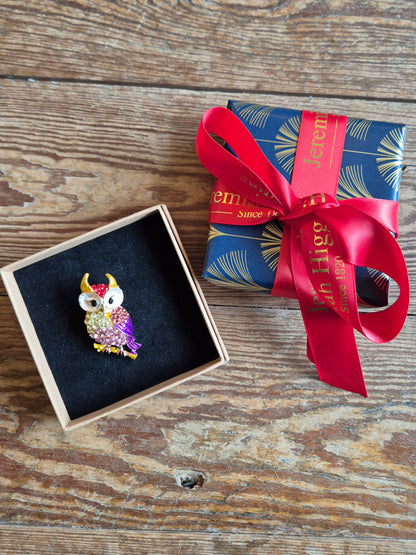 Colourful Owl Brooch