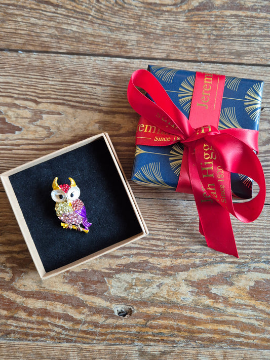 Colourful Owl Brooch