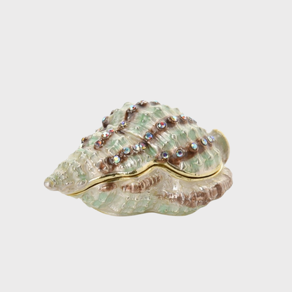 Conch Trinket Box